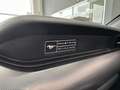 Ford Mustang Convertible 5.0 Ti-VCT GT Aut. Blauw - thumbnail 41