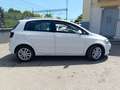 Volkswagen Golf Plus Golf VI 2010 Plus 1.6 tdi Highline Bianco - thumbnail 12