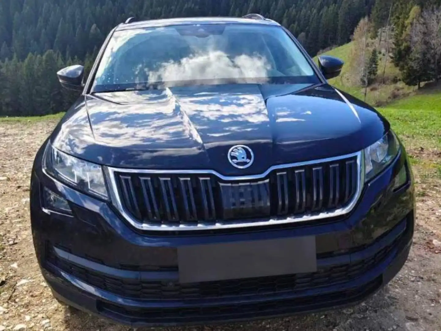 Skoda Kodiaq Kodiaq 2,0 TDI SCR 4x4 Ambition Ambition Schwarz - 1