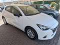 Mazda 2 1.5 Skyactiv-G Evolve 75cv Bianco - thumbnail 3