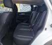 Nissan Qashqai 1.5 dCi Acenta Weiß - thumbnail 20