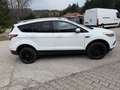 Ford Kuga Trend, AHK. Winter-Paket Weiß - thumbnail 6