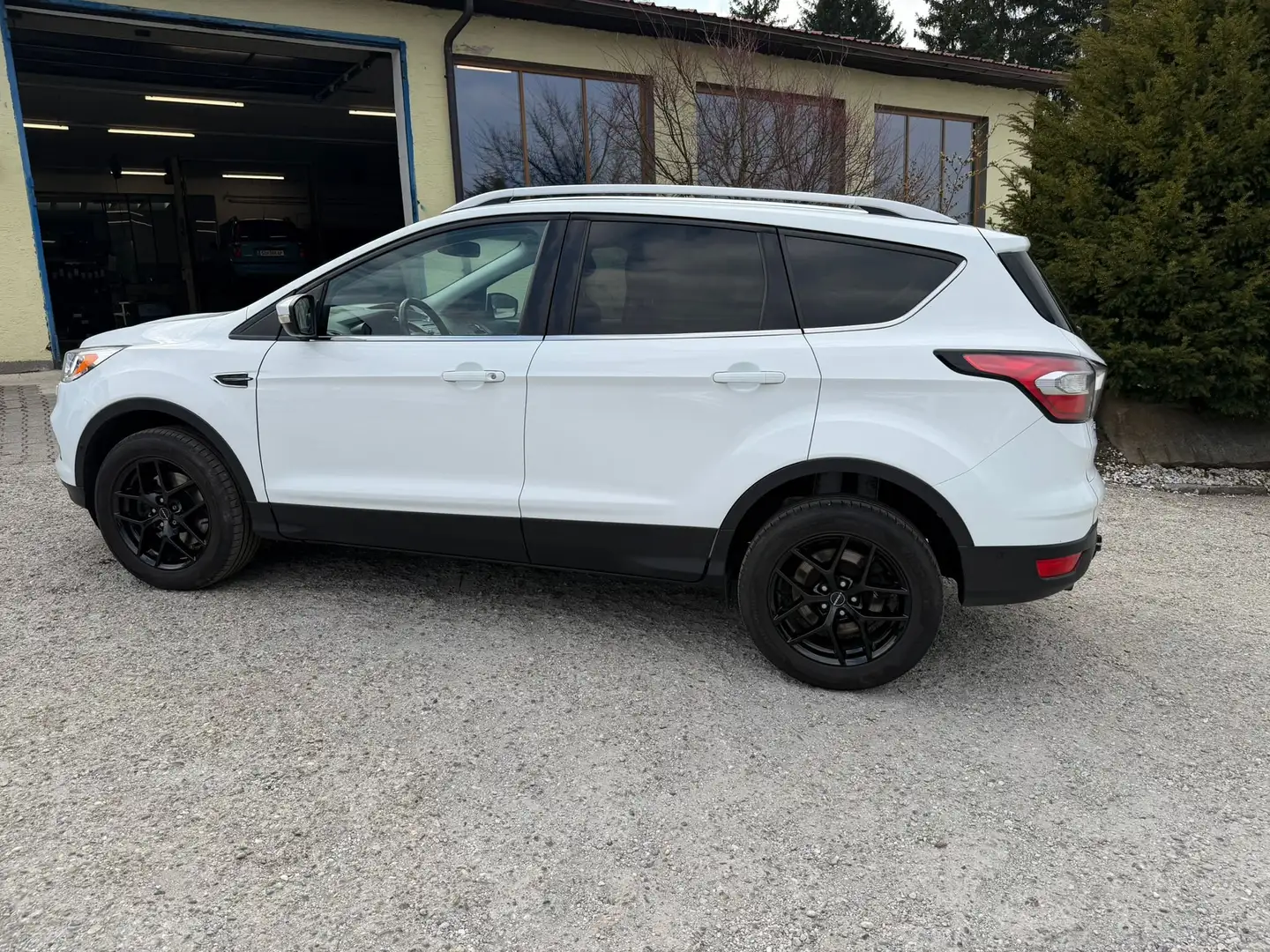 Ford Kuga Trend, AHK. Winter-Paket Weiß - 1