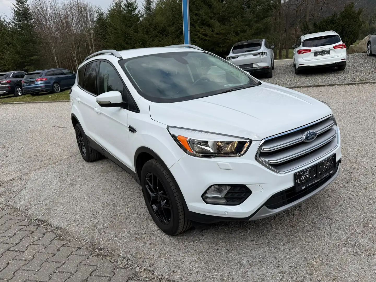 Ford Kuga Trend, AHK. Winter-Paket Weiß - 2