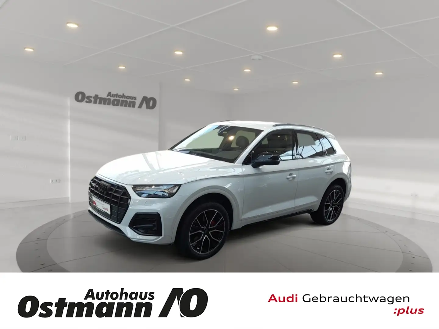 Audi Q5 40 2.0 TDI quattro advanced AHK MATRIX ACC Weiß - 1