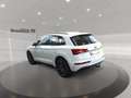 Audi Q5 40 2.0 TDI quattro advanced AHK MATRIX ACC Weiß - thumbnail 4