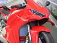 Ducati Panigale V4 2025 - km 381 Unico Proprietario Rosso - thumbnail 12