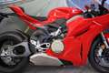 Ducati Panigale V4 2025 - km 381 Unico Proprietario Rosso - thumbnail 14