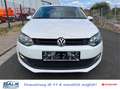 Volkswagen Polo V 1.6 TDI Comfortline BlueMotion/BMT Weiß - thumbnail 3