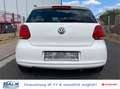 Volkswagen Polo V 1.6 TDI Comfortline BlueMotion/BMT Weiß - thumbnail 6