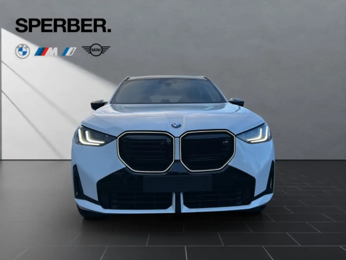 BMW X3 M50 xDr. Inno.-Pkt.,Panorama,AHK,Park.Ass.Plus,Sit Weiß - 2
