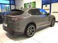 Alfa Romeo Stelvio 2.2 Turbodiesel 210 CV AT8 Q4 Veloce MY24 Grau - thumbnail 8