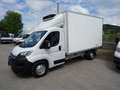 Opel Movano 35Q Maxi 140hp PLungo Cella-20° DoppiaTemperatur Gris - thumbnail 5