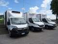 Opel Movano 35Q Maxi 140hp PLungo Cella-20° DoppiaTemperatur Gris - thumbnail 16