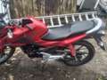 Honda CBF 125 Rot - thumbnail 3