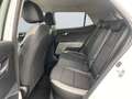 Kia Stonic Spirit 1.0 NAVI Klimaaut. PDC Rückfahrkam. Kom-pak Alb - thumbnail 13