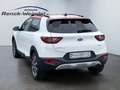 Kia Stonic Spirit 1.0 NAVI Klimaaut. PDC Rückfahrkam. Kom-pak Alb - thumbnail 3