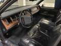 Lincoln Town Car Bruin - thumbnail 4