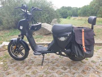 E.F.O. EB250P
