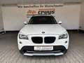 BMW X1 xDrive20d X Line XENON/PANORAMA/PROFESSIONAL Weiß - thumbnail 2