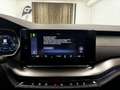 Skoda Octavia 2.0 TDI DPF RS Grau - thumbnail 18