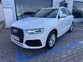 Audi Q3 2.0 tdi business quattro Weiß - thumbnail 13