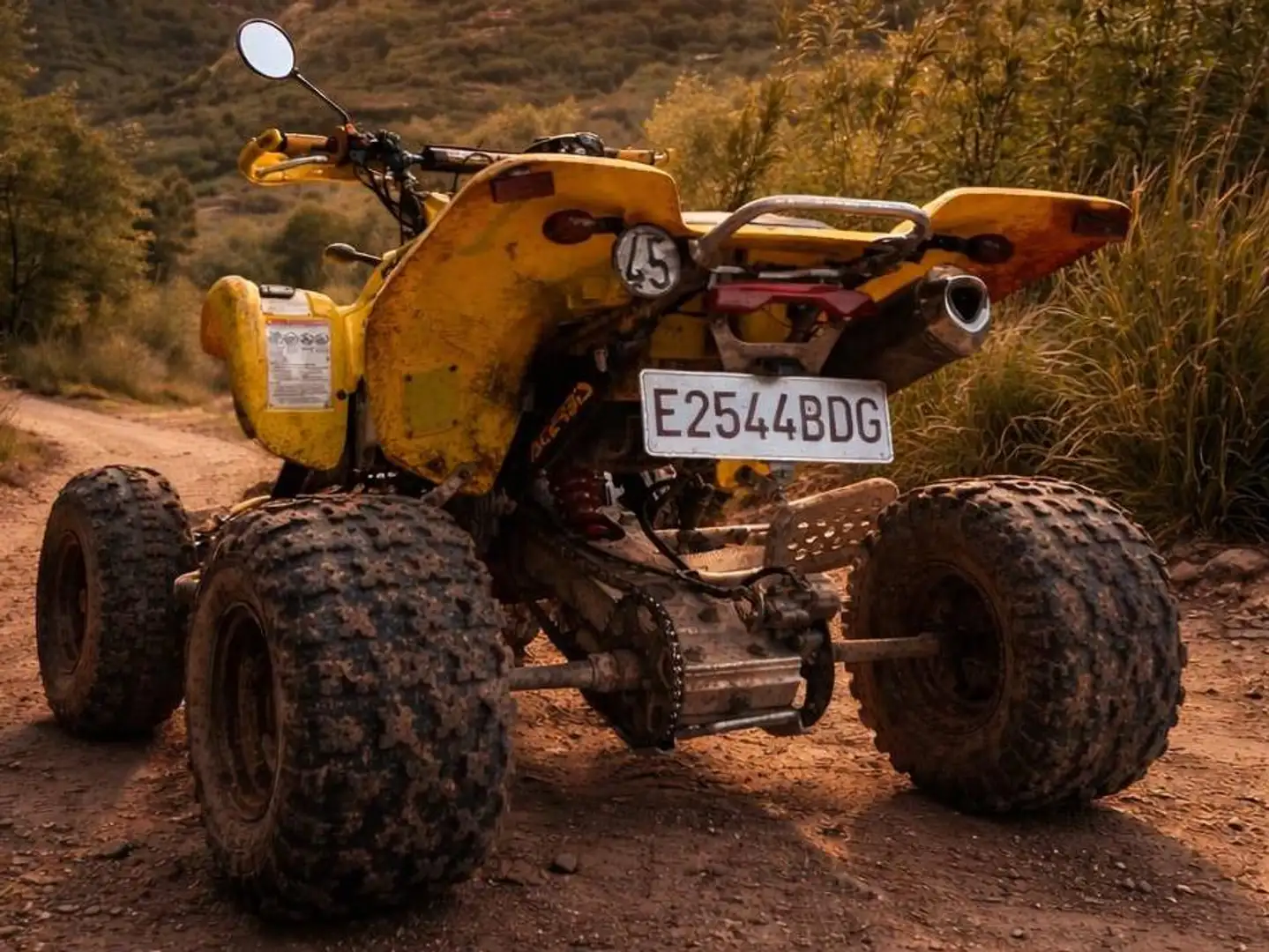 Suzuki LT-Z 400 Amarillo - 1