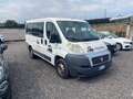Fiat Ducato Bianco - thumbnail 10