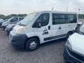 Fiat Ducato Blanco - thumbnail 1