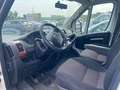 Fiat Ducato Blanco - thumbnail 3