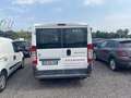 Fiat Ducato Bianco - thumbnail 5