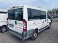 Fiat Ducato Bianco - thumbnail 6