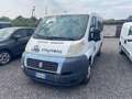 Fiat Ducato Blanco - thumbnail 12