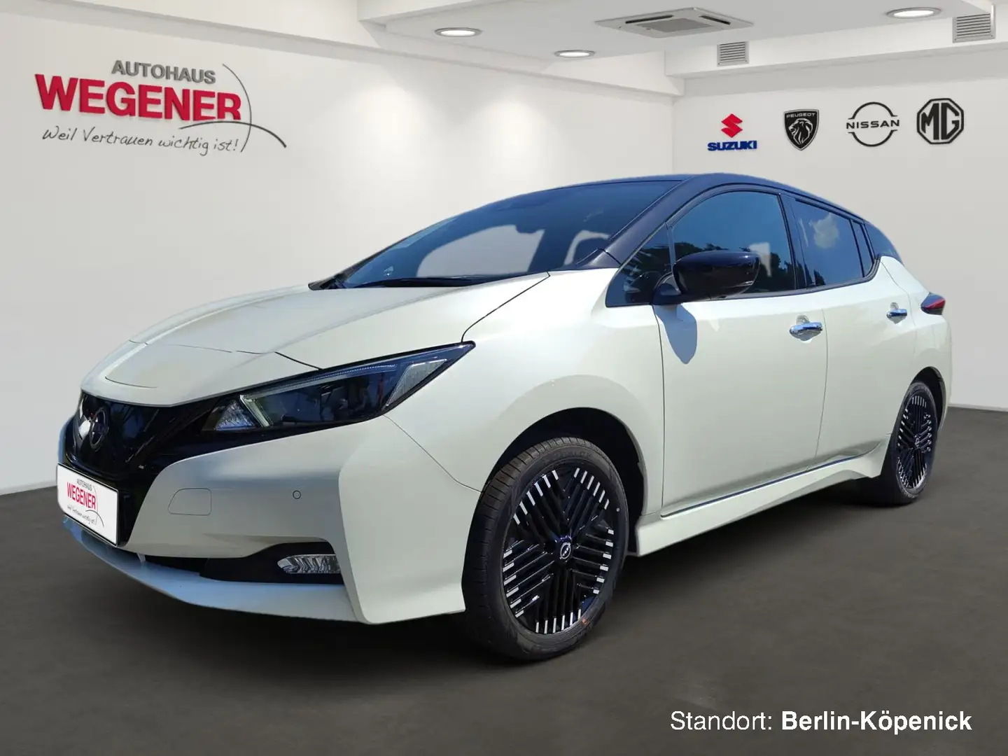 Nissan Leaf LEAF TEKNA e+ 59kWh Leder LED 360° Rundumsicht B Blanc - 1