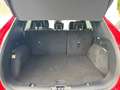 Ford Kuga Active X 2.5 Duratec FHEV,AGR+CarPLay+Kamera Rot - thumbnail 12
