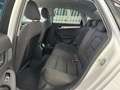 Audi A4 2.0TDI Sport edition 110kW Blanco - thumbnail 8