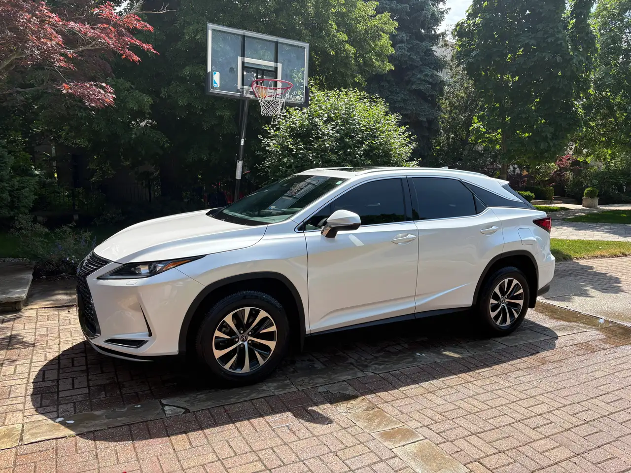 2022 Lexus RX