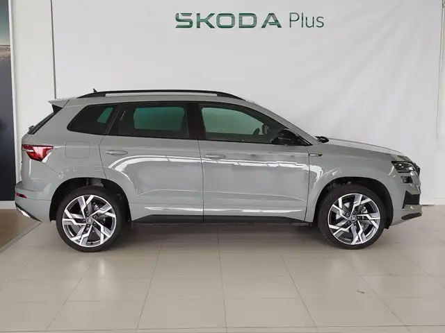 Skoda Karoq view 3