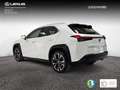 Lexus UX 250h 2.0 Premium Bianco - thumbnail 3