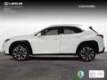Lexus UX 250h 2.0 Premium Bianco - thumbnail 2