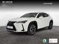 Lexus UX 250h 2.0 Premium Bianco - thumbnail 1
