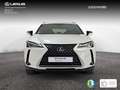 Lexus UX 250h 2.0 Premium Bianco - thumbnail 5