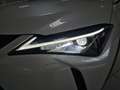 Lexus UX 250h 2.0 Premium Bianco - thumbnail 19