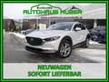 Mazda CX-30 G140 CENTER DESI Grau - thumbnail 1