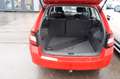 Skoda Fabia Combi Active Rojo - thumbnail 7