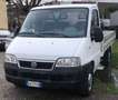 Fiat Ducato Maxi Cassonato Bianco - thumbnail 1