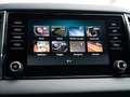 Skoda Karoq 1.5 TSI ACT Business Edition | Trekhaak (wegklapba Zwart - thumbnail 40