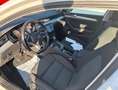Volkswagen Passat Variant 2.0 TDI DSG Business LED KAMERA Weiß - thumbnail 4
