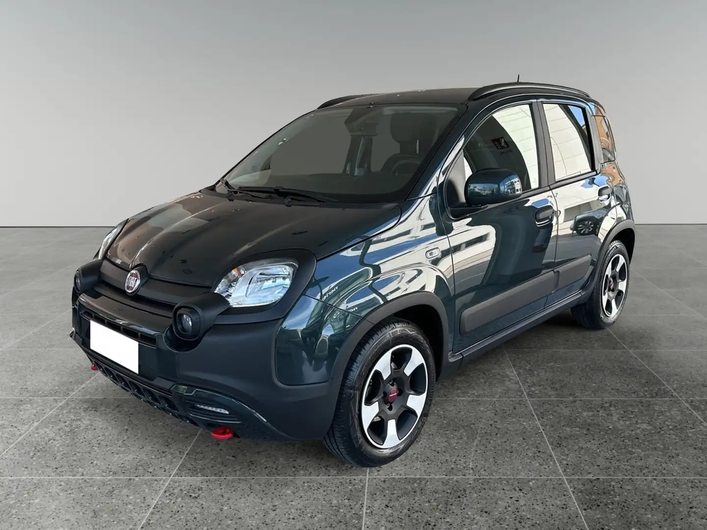 Fiat Panda Panda Cross 1.0 FireFly S&S Hybrid Verde - 1