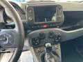 Fiat Panda Panda Cross 1.0 FireFly S&S Hybrid Verde - thumbnail 13